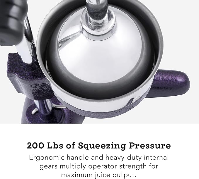 Professional Manual Juice Cold Press Juicer