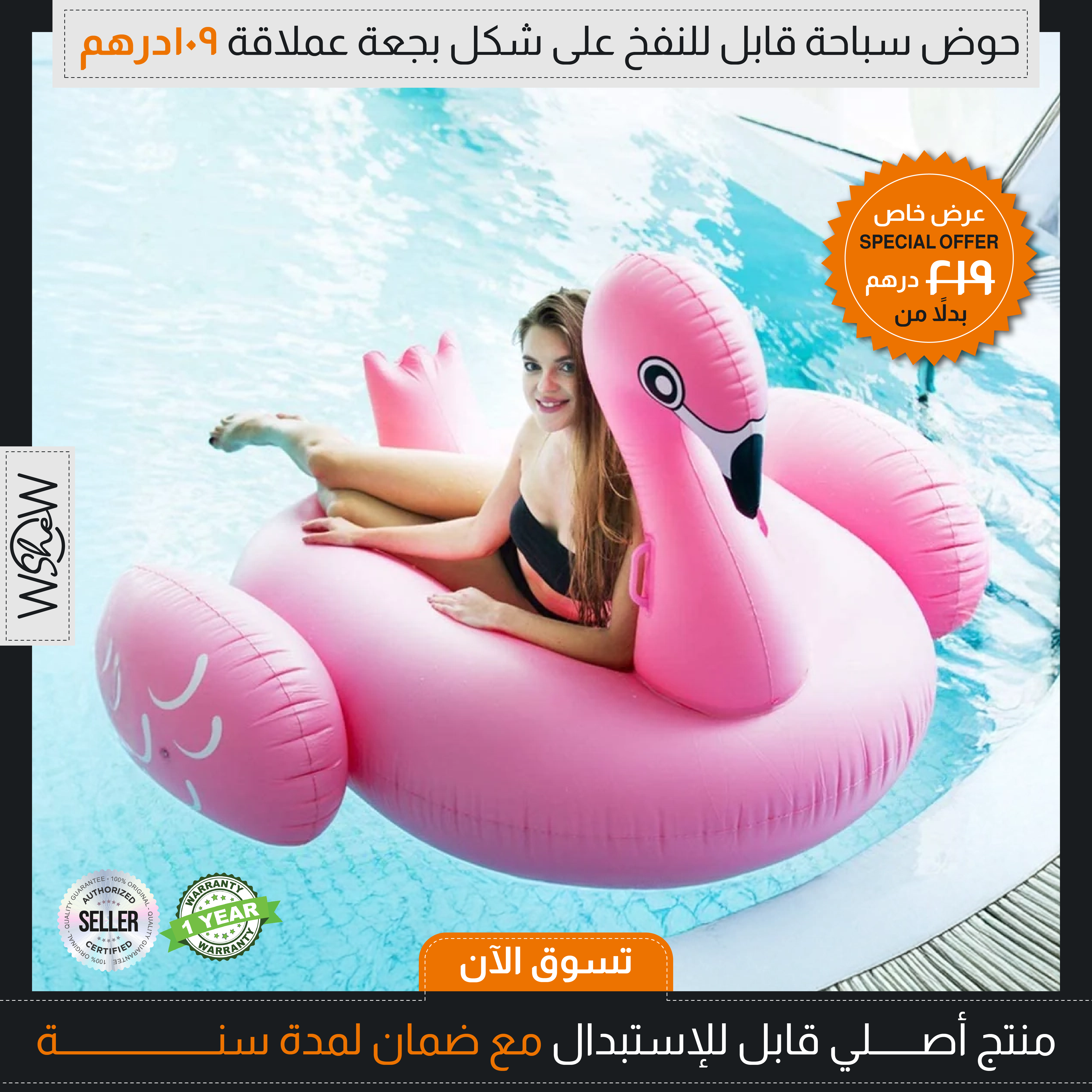 Flamingo swimming pool