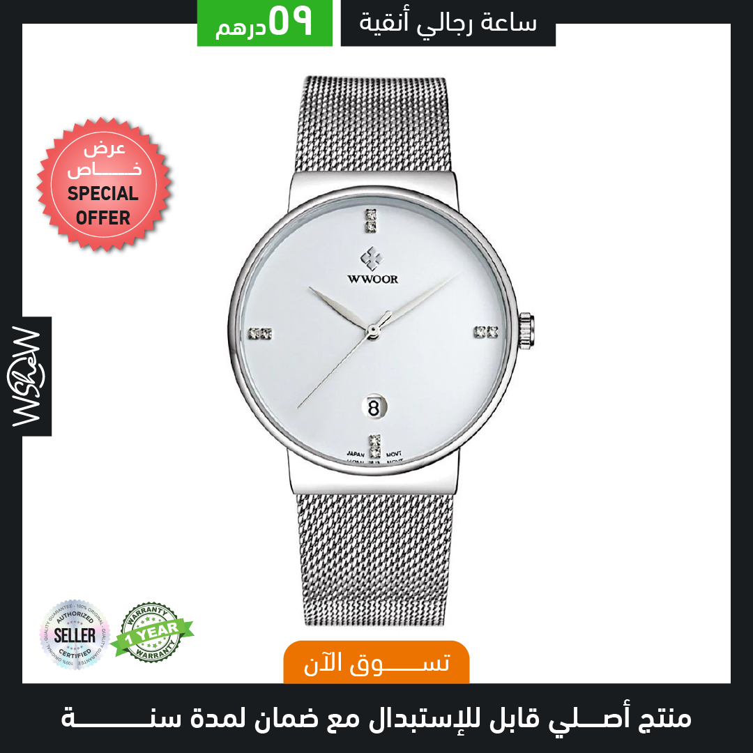 Men's Stainless Steel Mesh Belt Watch