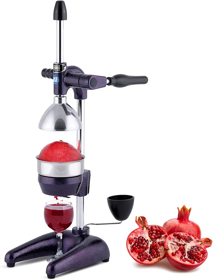 Professional Manual Juice Cold Press Juicer