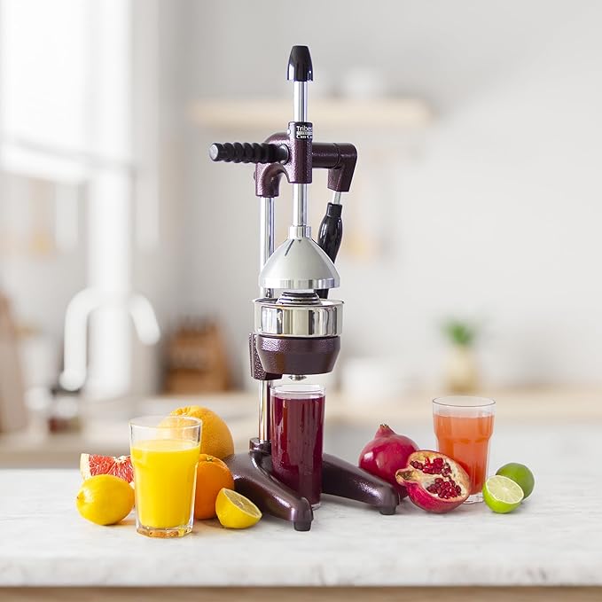 Professional Manual Juice Cold Press Juicer
