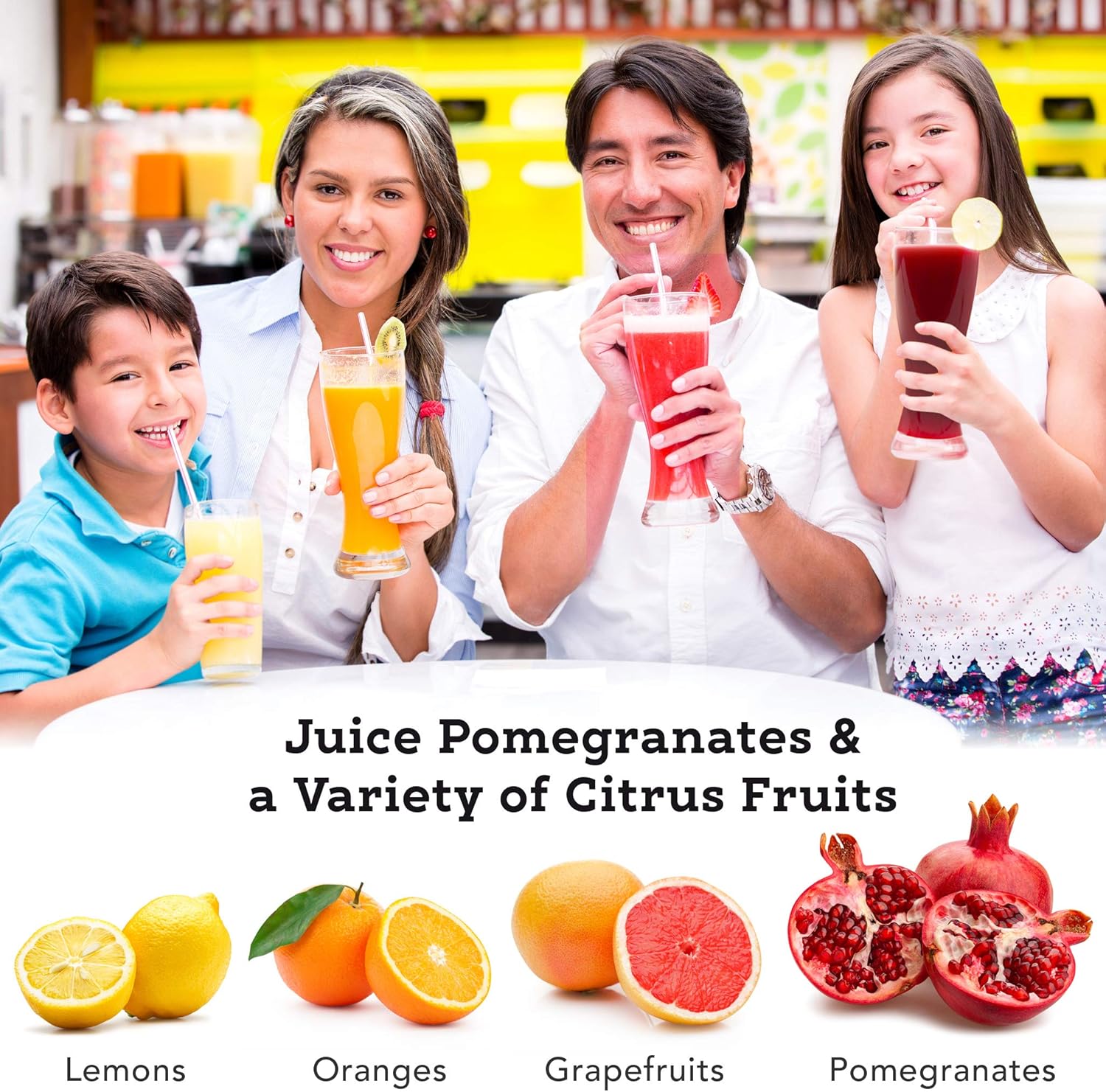 Professional Manual Juice Cold Press Juicer